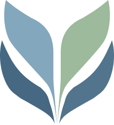 Yafa Marketing Blog